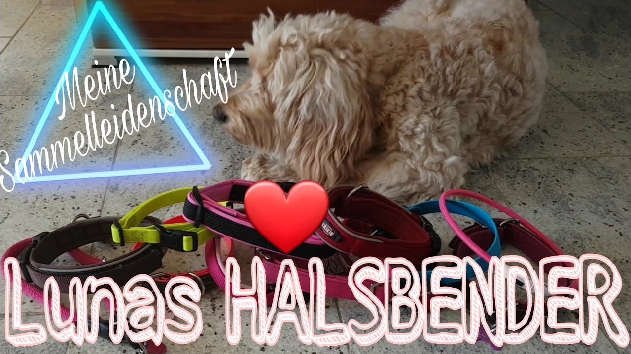 Lunas Halsbänder |und mein lieblings Halsband