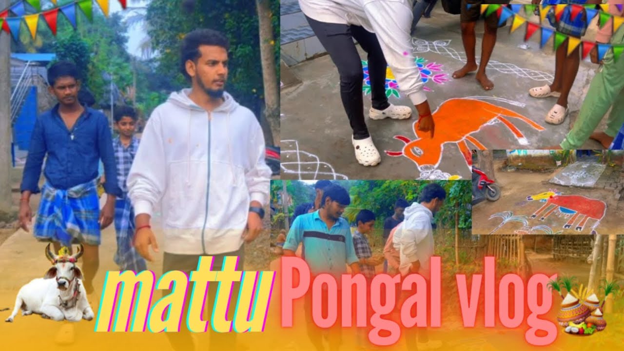 மாட்டு பொங்கல் vlog❤️💥🤣 |R Raj Kumar
