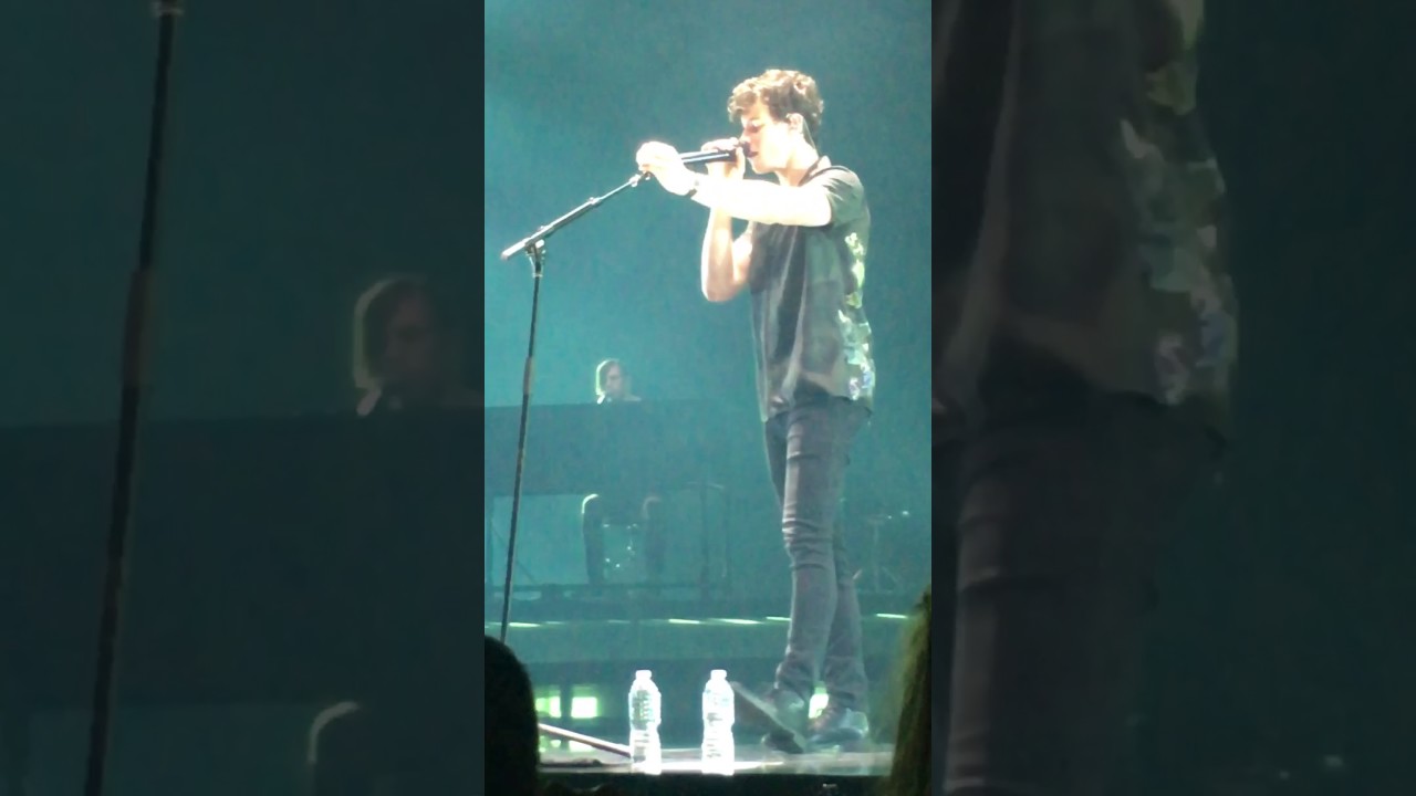 Mercy - Shawn Mendes