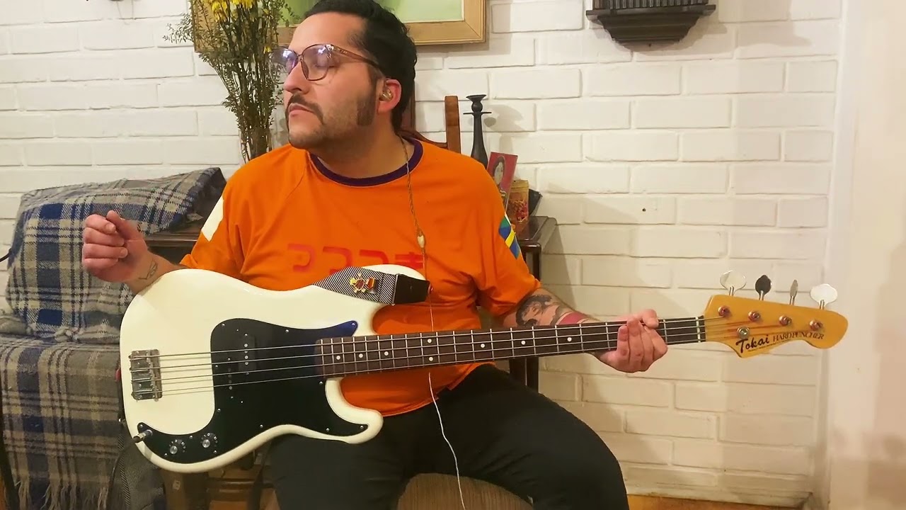 Fall Out Boy - Saturday (Bass Cover)