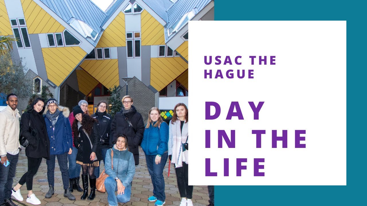 A Day in the Life Studying Abroad in The Hague, The Netherlands