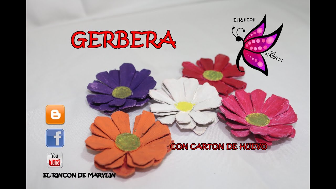 GERBERA O MARGARITA AFRICANA con carton de huevos