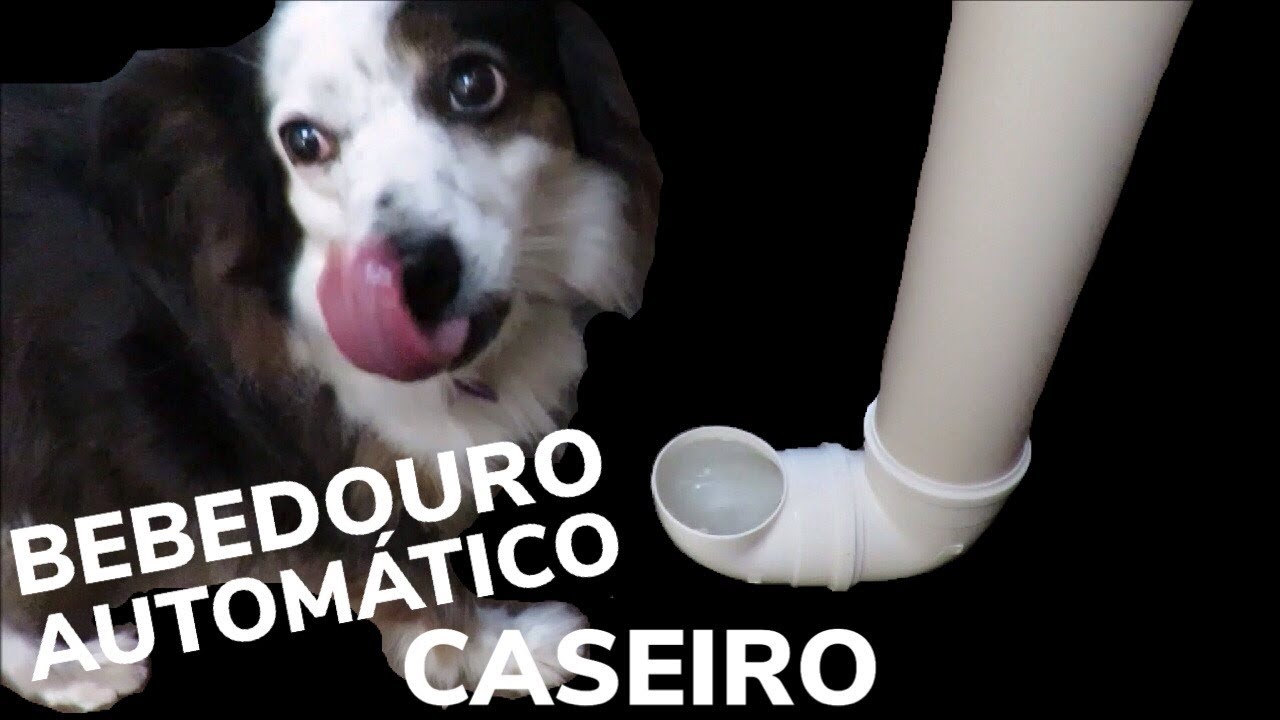 BEBEDOURO AUTOMATICO CASEIRO DE TUBO PVC - CACHORRO, COMO FAZER BEBEDERO CASERO PERROS E MASCOTAS