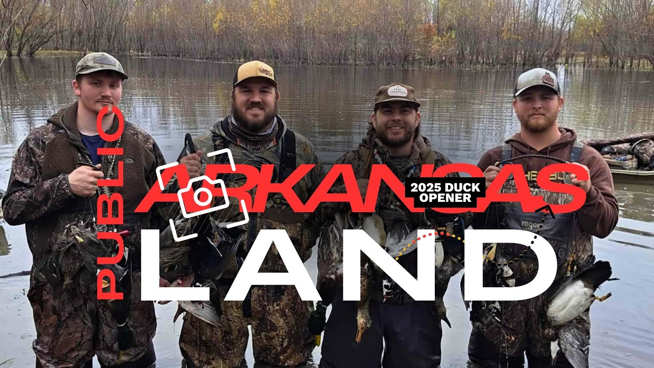 Arkansas Public Land Duck Opener!! 4 Man  Limit [2025]