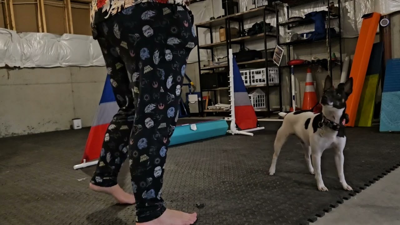 Joys is training a baby dog 🤦🏼‍♀️