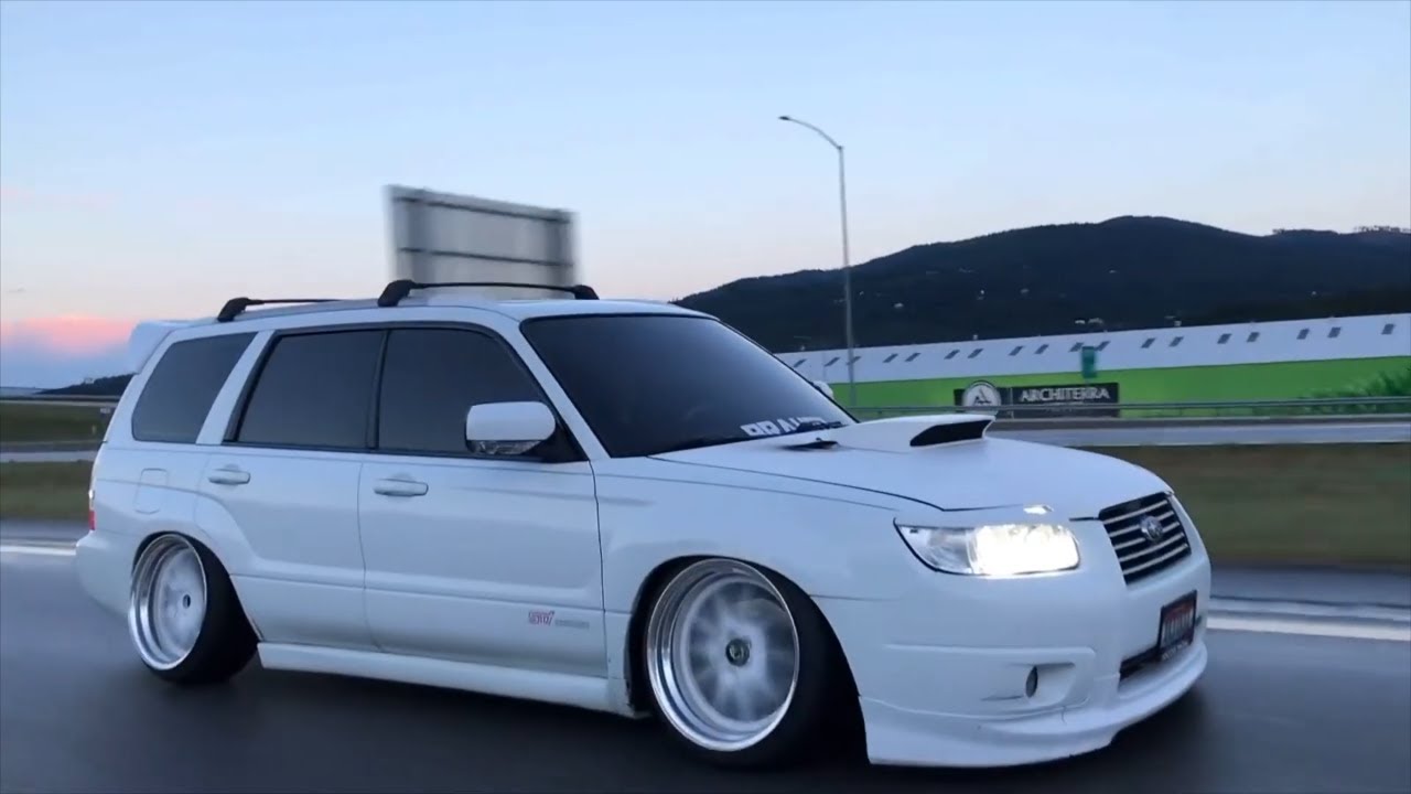 Modified Forester Compilation