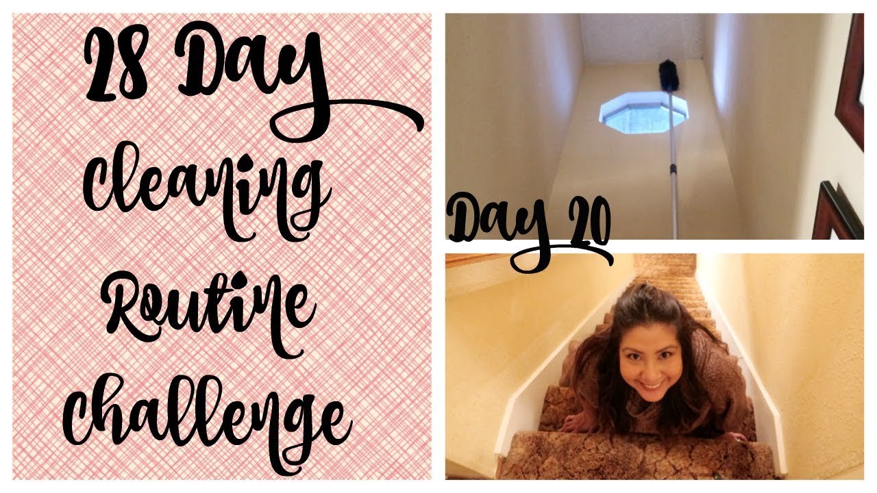 28 Day Cleaning Routine Challenge | Dusting High Ceilings