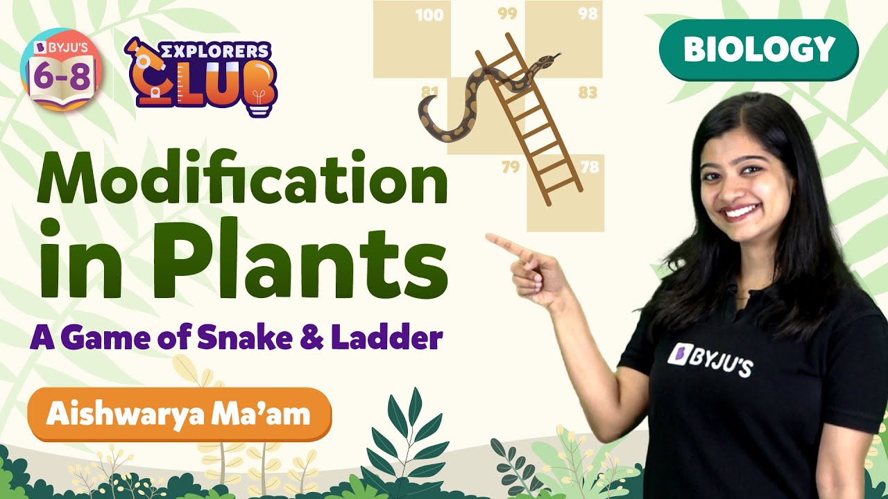 Different Types Of Modification Found In Plants | Modification Of Stem, Root and Leaf | BYJU'S