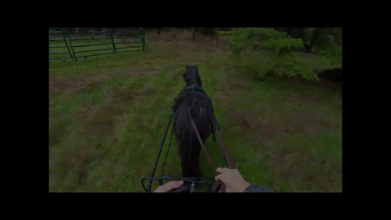 Week 9 - Flyer is a driving horse!
