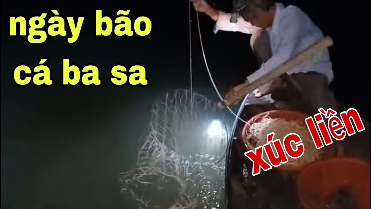 Đường Câu Giăng Đáng Tiền Triệu , Cá Dính Liên Hồi Không Khác Gì Ao Cá Nuôi # SĂN BẮT ĐỒNG THÁP #