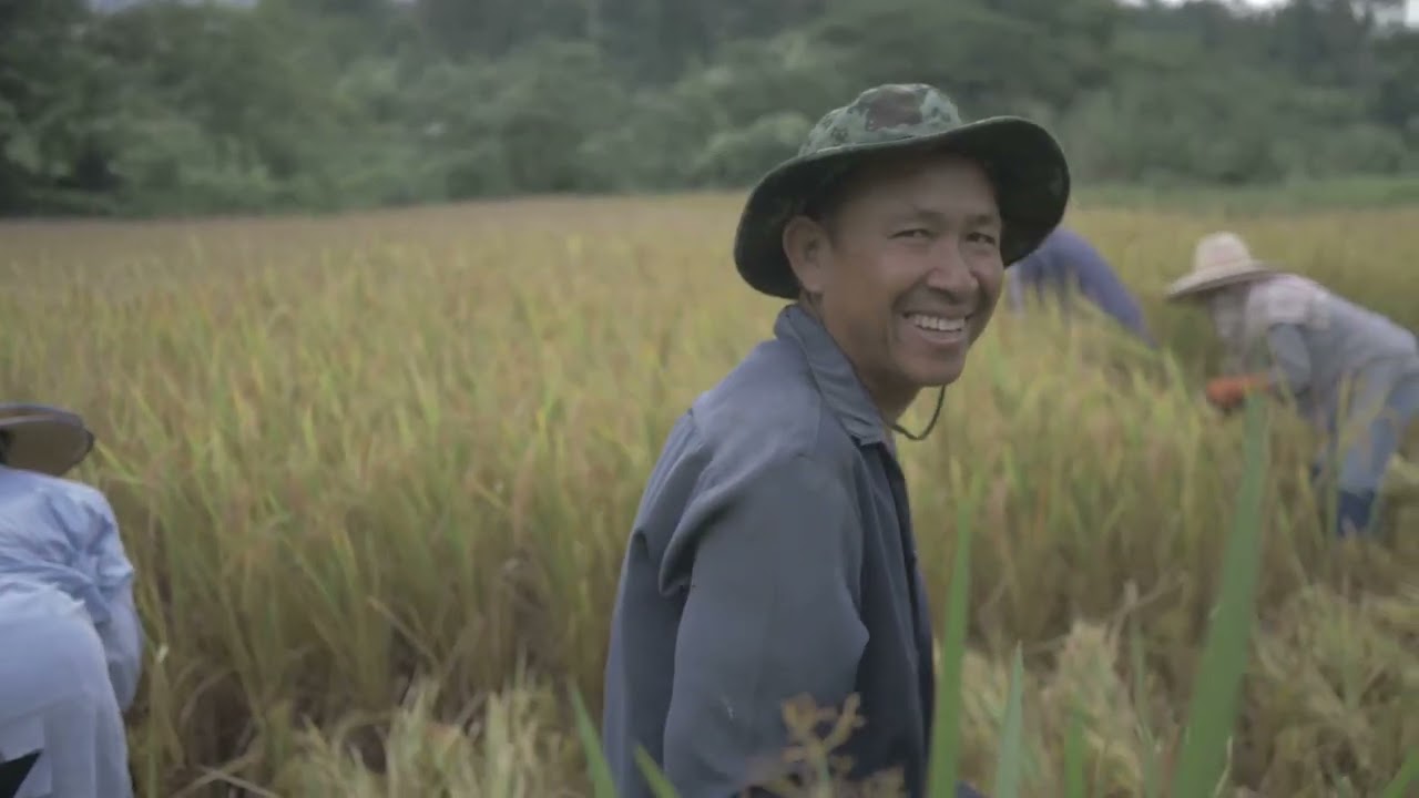Discovering Thailand: A Journey Through the Land of Smiles