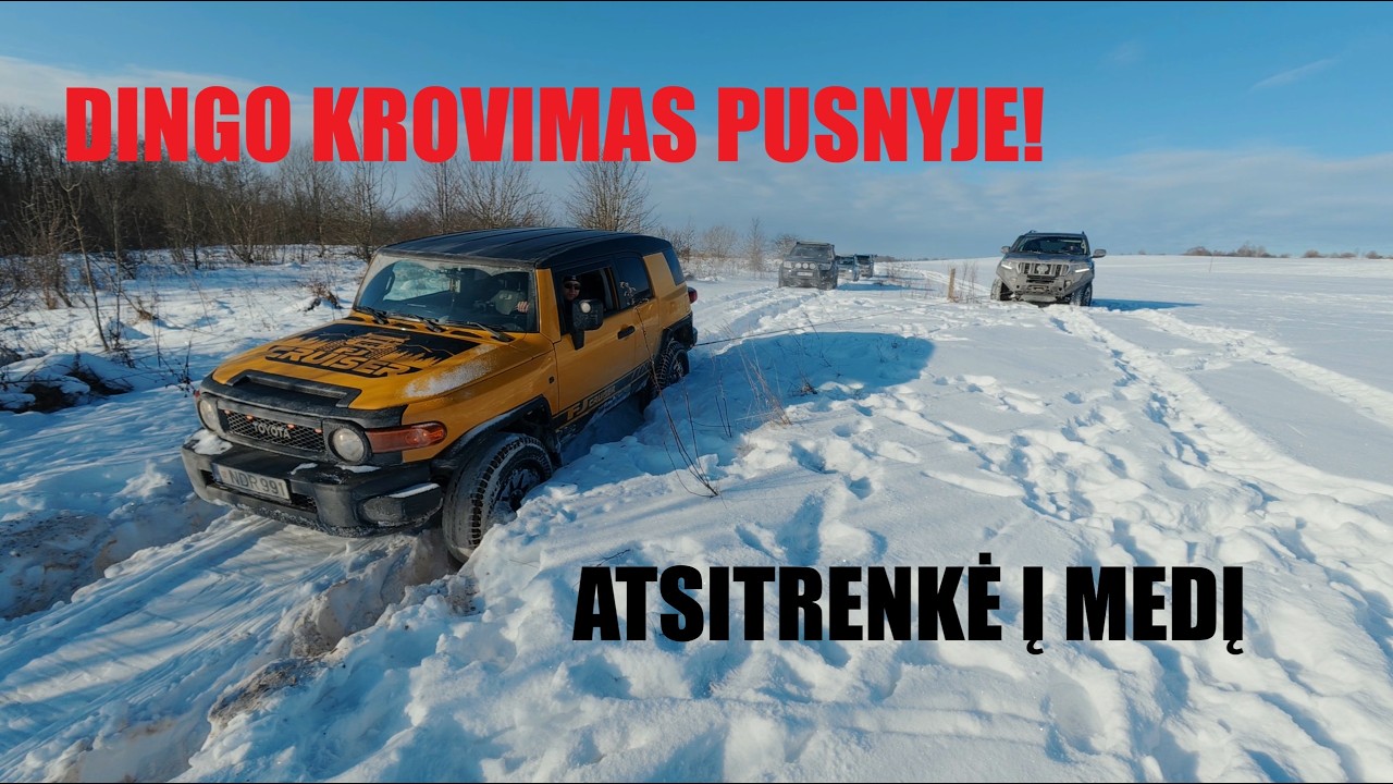 Nissan King Cab - bekelės karalius? Pathfinder V8, Land Cruiser, FJ Cruiser, Mercedes ML. 1 dalis.