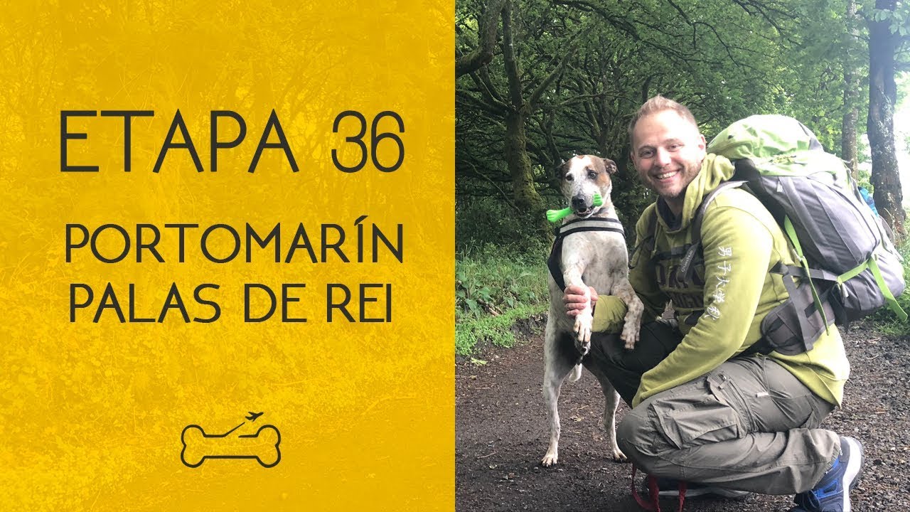 ETAPA 36: PORTOMARÍN A PALAS DE REI | Camino de Santiago con perro