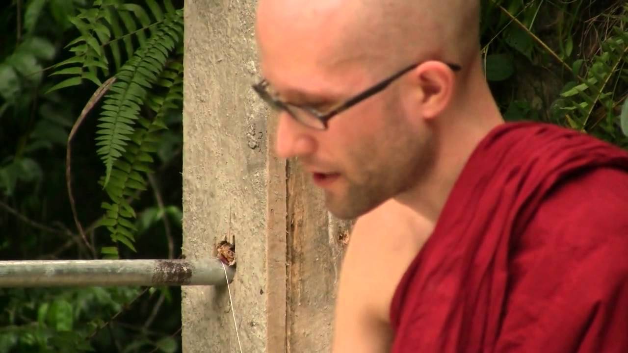 Dhammapada Verses 33 & 34: Straighten The Mind, Like A Fish In Water