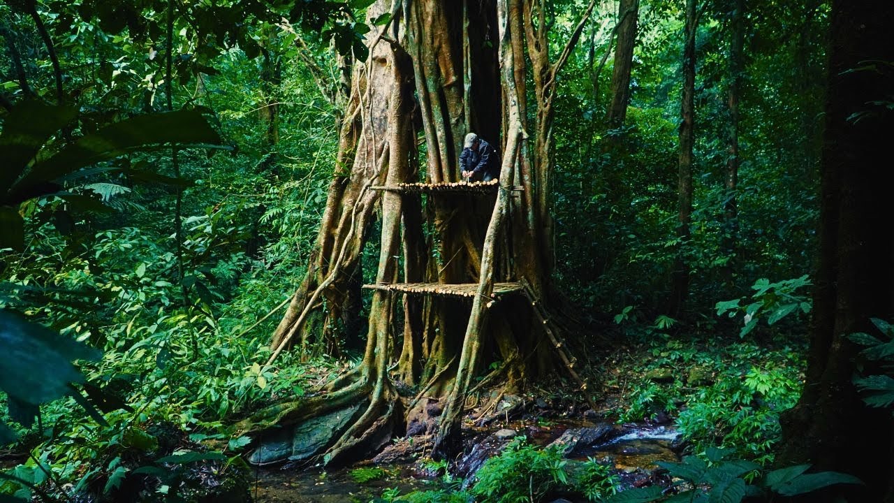 Solo Bushcaft: 30 Day Build Bushcaft tower next to giant tree. Hunting and gathering - P.1