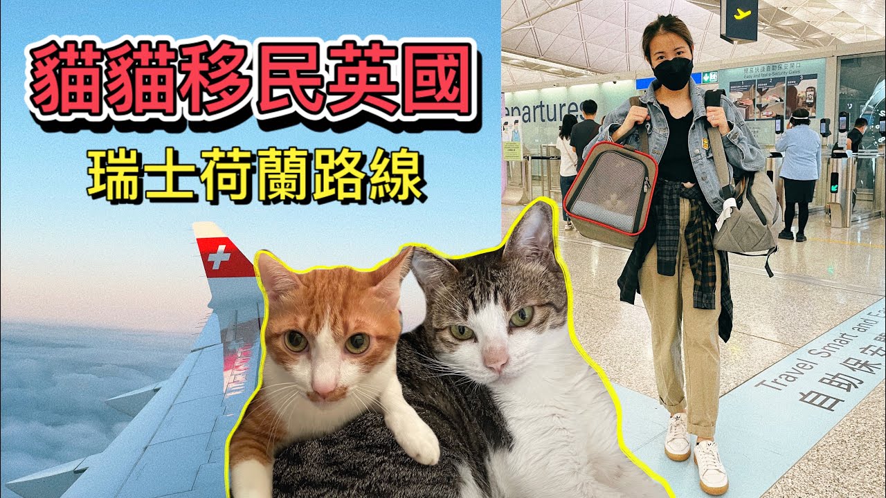 #寵物移民 🇬🇧 • 分享如何帶寵物去英國 🐈