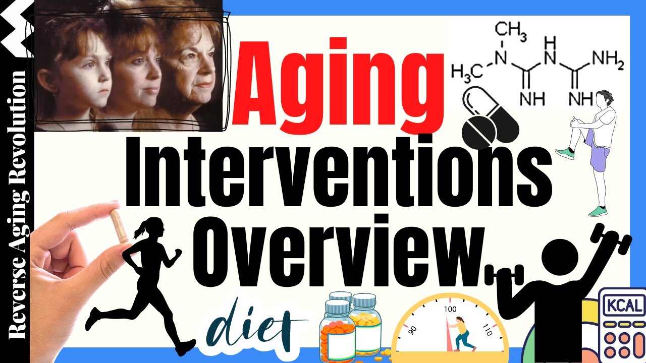 Aging Interventions From Drugs To Diet & Exercise