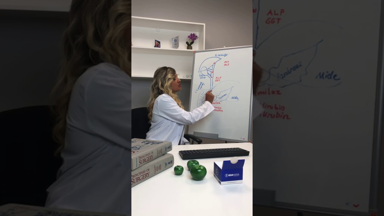 Safra Kesesi ve Safra Yolları Hastalıkları Konulu Canlı Yayını