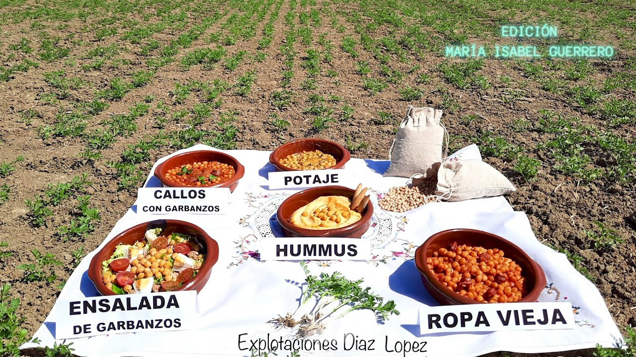 Garbanzos ecológicos en Numancia de La Sagra