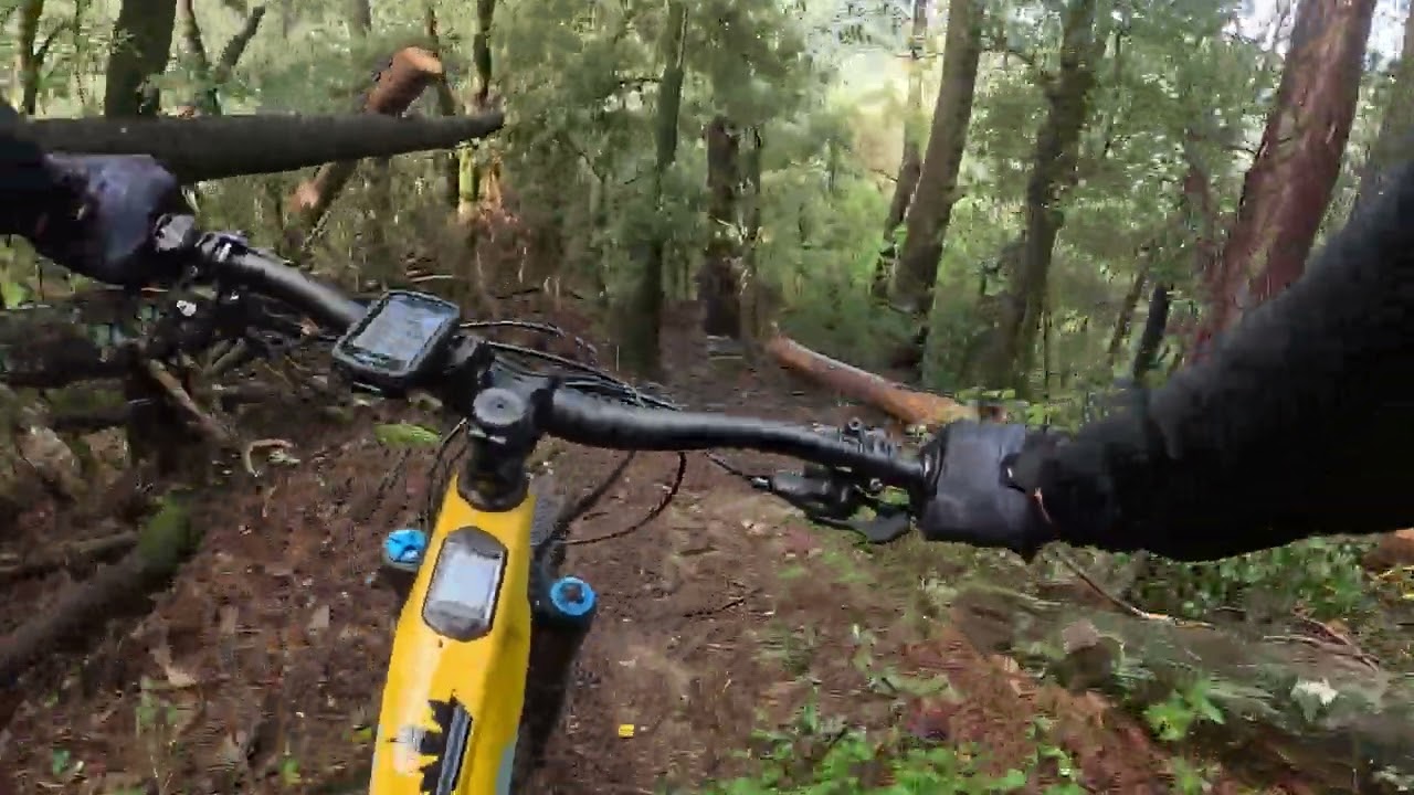 Vtt Enduro Vallée de l'Eyrieux Rocky Mountain Altitude Powerplay C90 Rally édition