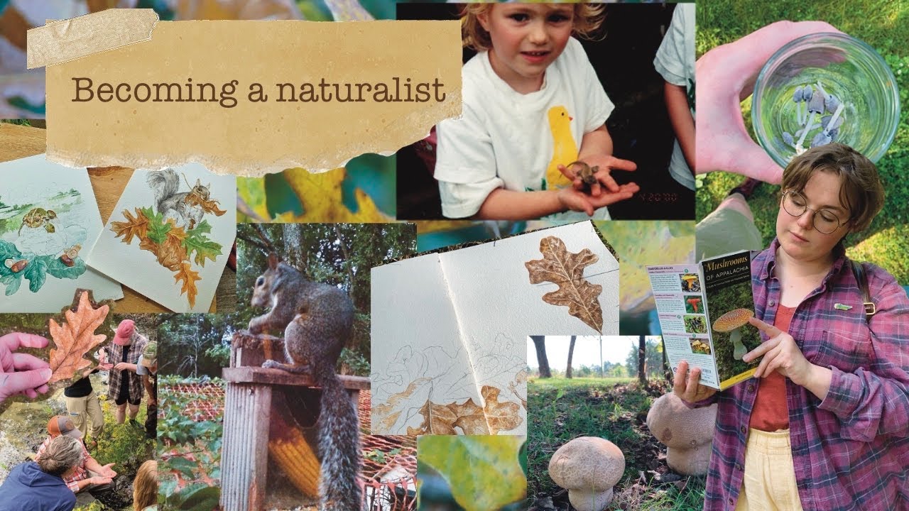 Becoming A Naturalist | My Story