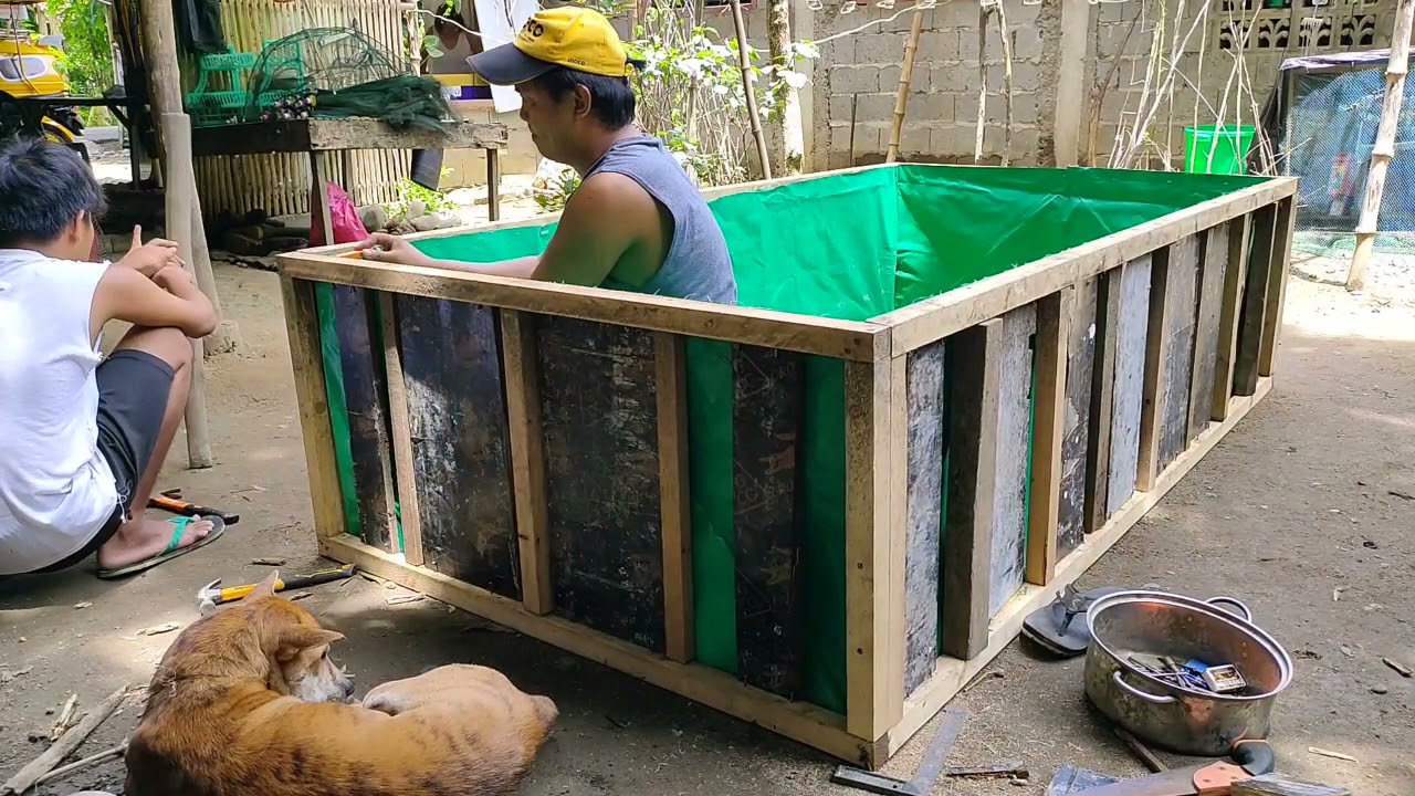 DIY TRAPAL FISH POND FOR TILAPIA, HITO AND DALAG.