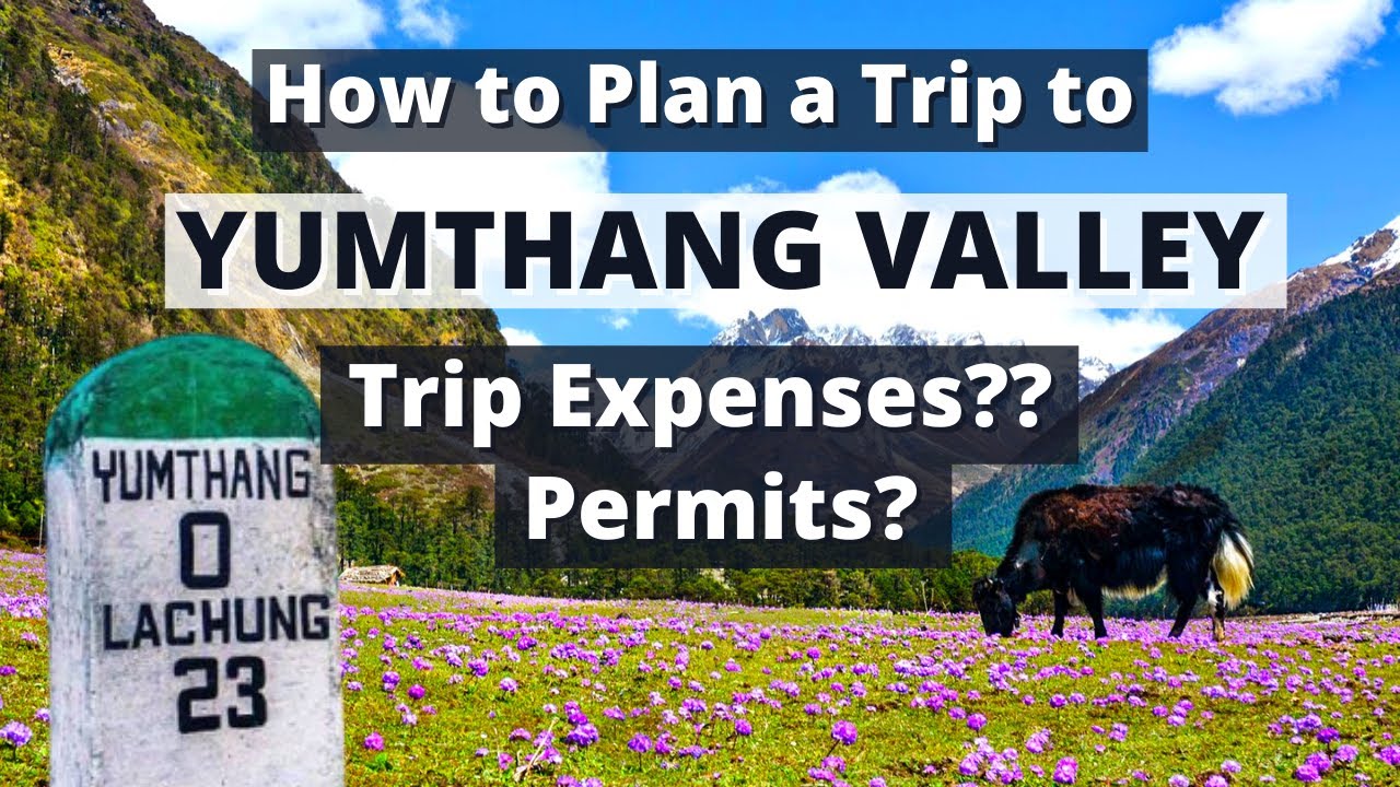Yumthang Valley of Lachung Sikkim - All you need to know | How to Plan for Yumthang Valley of Sikkim