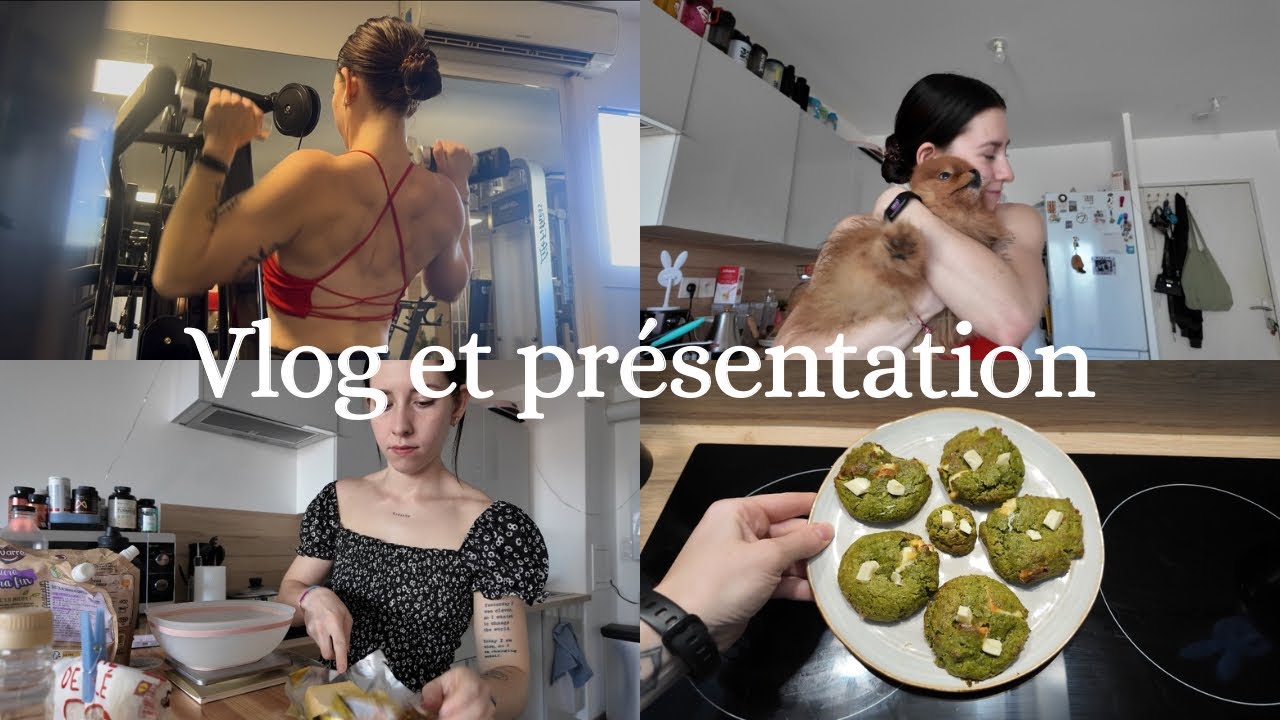 VLOG DE MA JOURNÉE / PRÉSENTATION DE LA CHAÎNE ✨