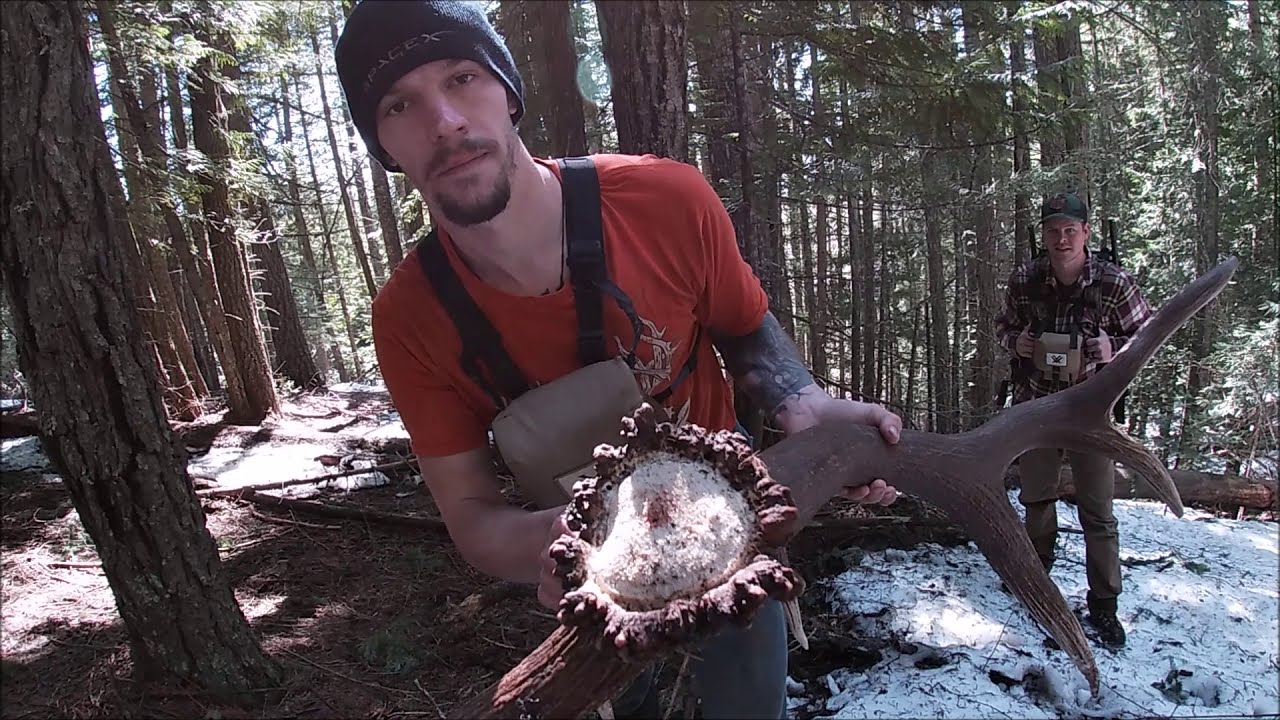 2020 Elk Shed Highlights. (The End) #SHEDREKT