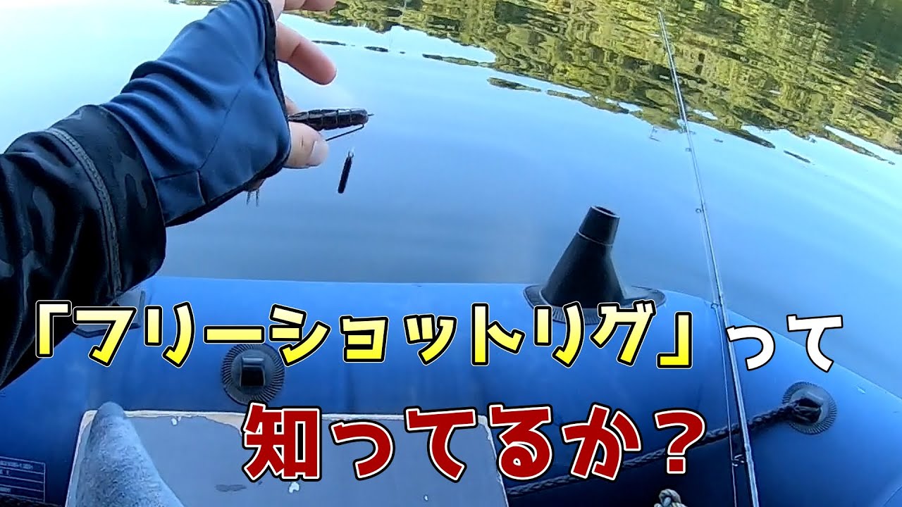 【フリーショットリグ】なぜ定番になってないのか、使えば分かる【ビーバー】