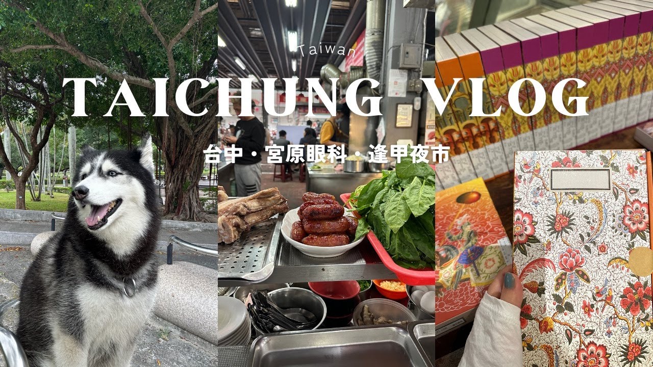 【台湾Vlog】台中観光｜台北から台中への行き方｜台中の市場｜台中公園｜お昼から台湾グルメを楽しめる夜市｜台湾のわんちゃんたち｜コスパ良すぎるつるもち餃子｜逢甲夜市のおすすめスポット