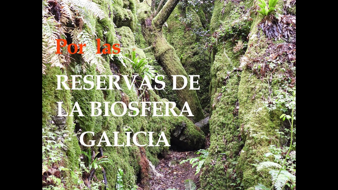 Reservas de la Biosfera de Galicia 4K