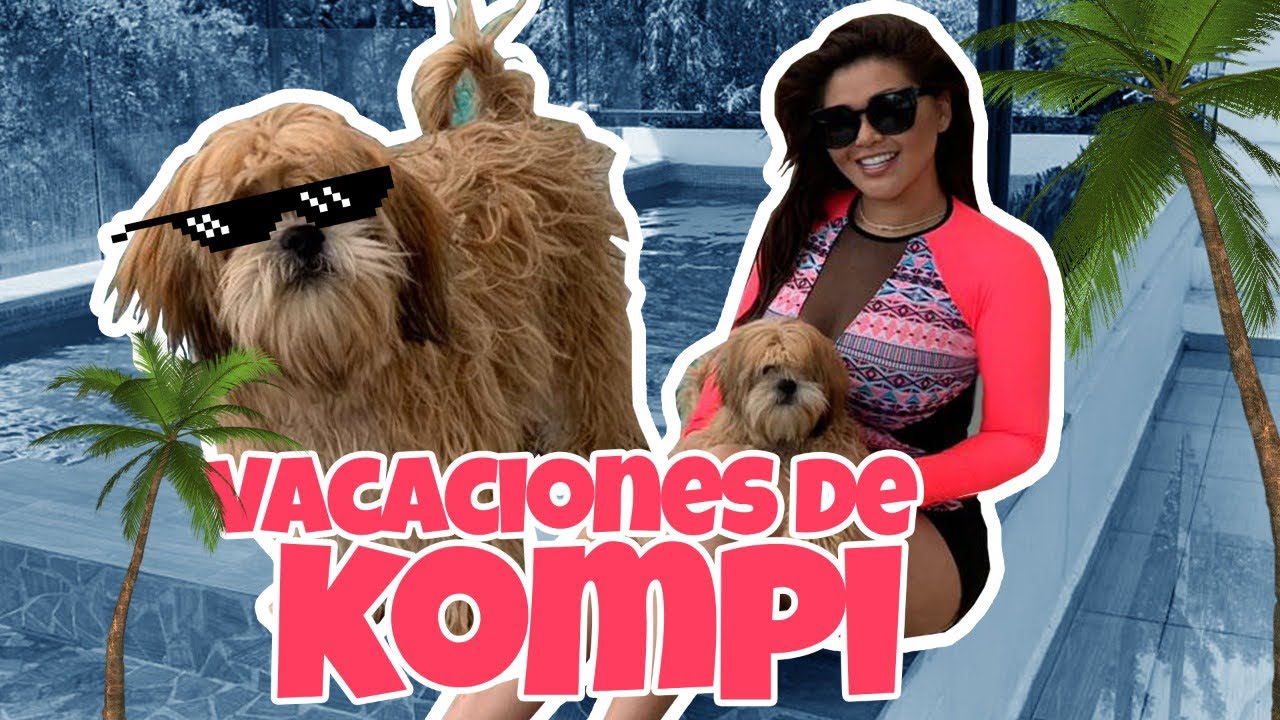 VACACIONES CON MI PERRO