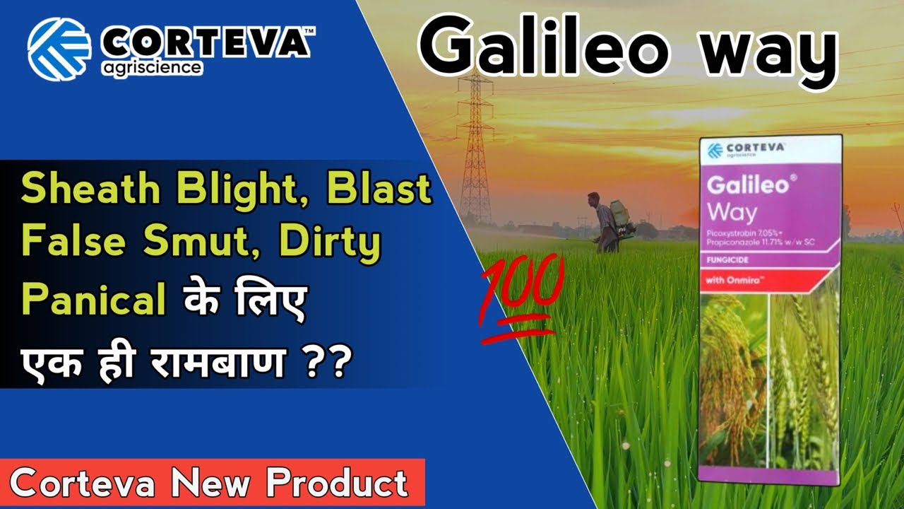 Corteva New Product Galileo Way | फ़सलो में Sheath Blight, Blast, False Smut, Dirty Panical के लिए