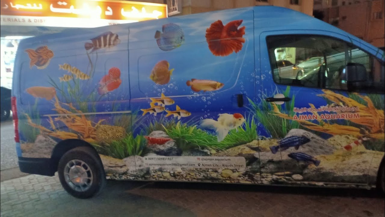 Biggest Fish Aquarium in Ajman|| UAE🇦🇪#AquariumsinAjman