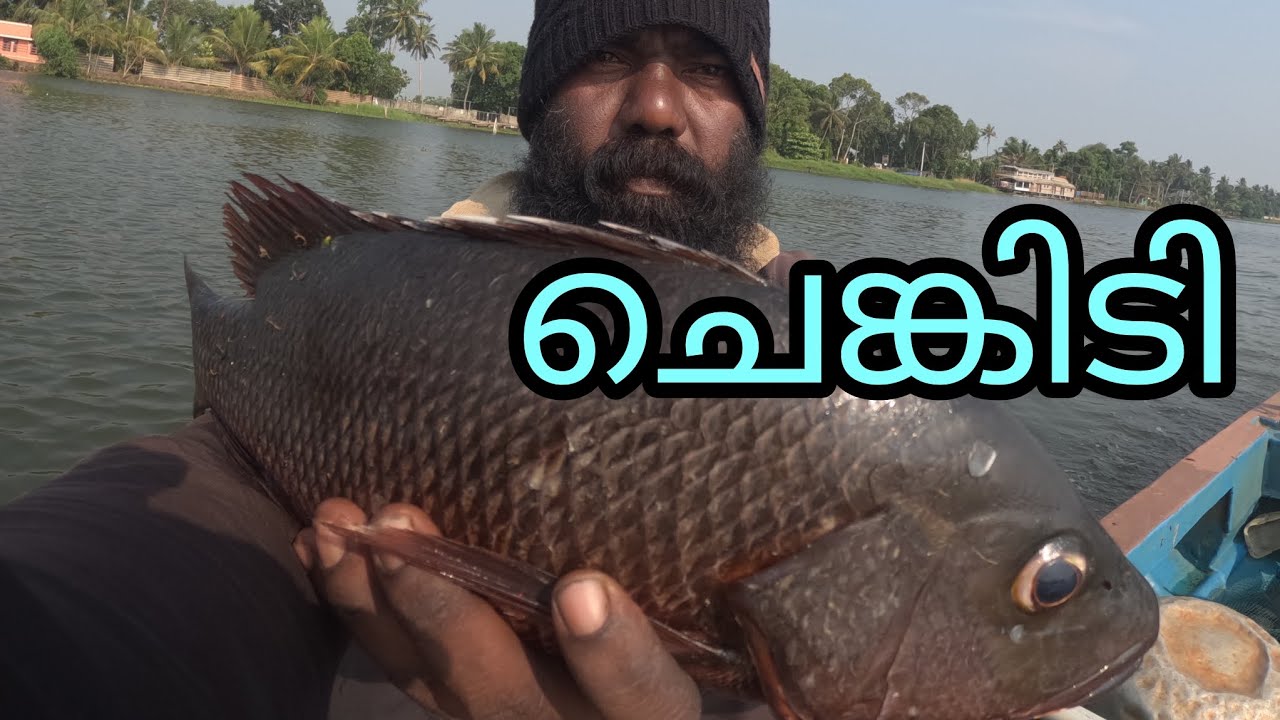 ചെങ്കിടി | FISHINGVLOG | #reallife #realfishing 