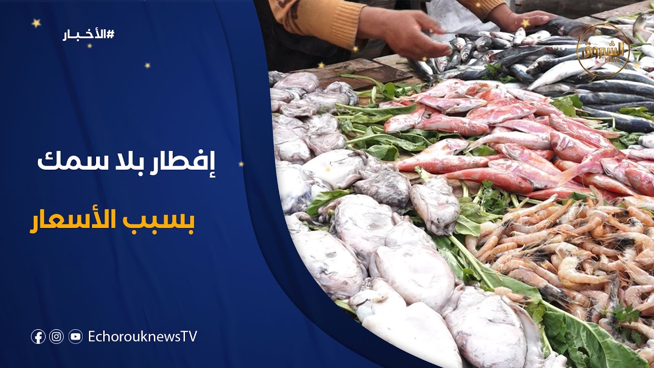 السردين بـ1000 دينار للكيلوغرام.. أطباق السمك تغيب عن موائد الصائمين في رمضان