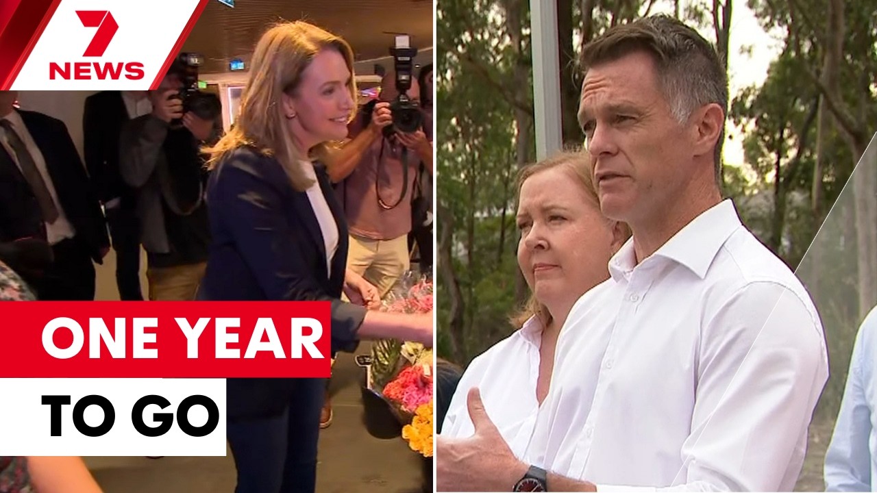 How the NSW party leaders stack up one year out from state election | 7NEWS