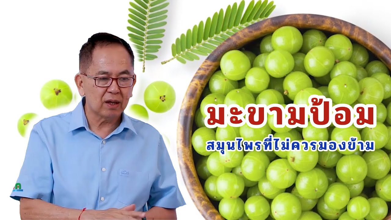 มะขามป้อม สมุนไพรที่ไม่ควรมองข้าม EP137/2 | ดร.นพ.พรเทพ ศิริวนารังสรรค์
