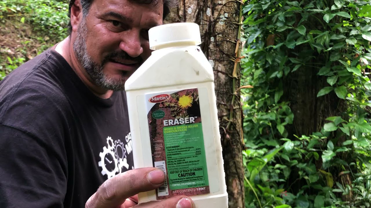 Eliminando árboles de sombra indeseados, finca KareMar