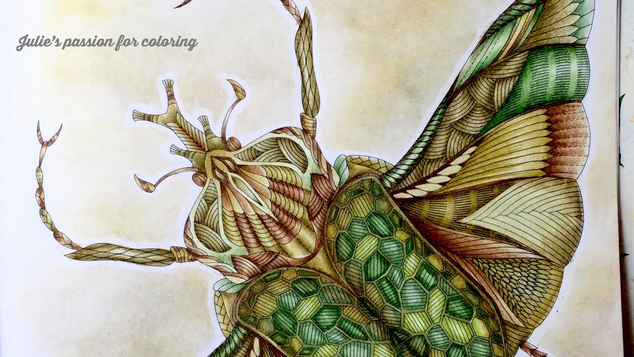 WILDLIFE WONDERS by Millie Marotta - prismacolor pencils - color along