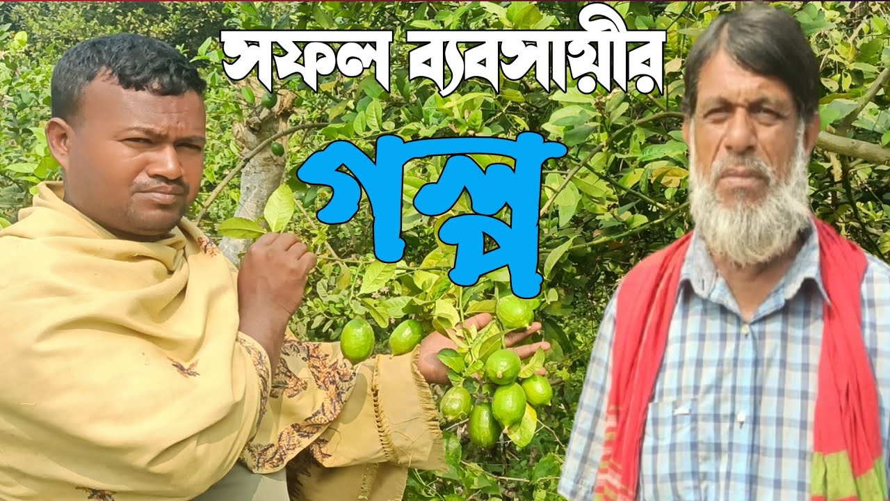 সফল ব্যবসায়ী রুবেল হাওলাদারের লেবু বাগানের গল্প  লেবুর জন্য সরাসরি যোগাযোগ করুন 01717509275 #Shakit