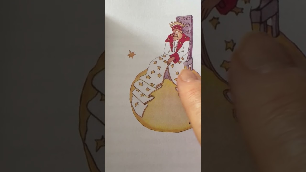 O Pequeno Principe - 9