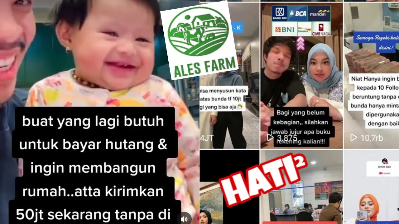 Update Bisnis Peternakan Atta Halilintar Dan Hati&sup2; Banyak Akvn Mengsalahgunakan atta aurel