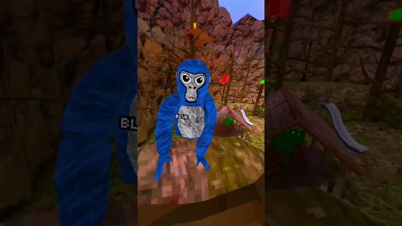 I Can't Touch The Color (CONE WRONG)&hellip; @_GorillaTagVR