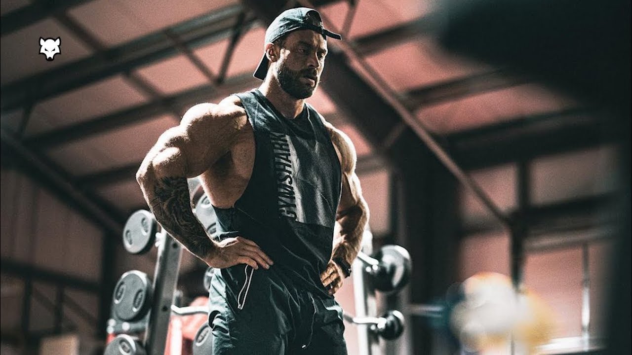 BAD WOLF 🐺 - Chris bumstead