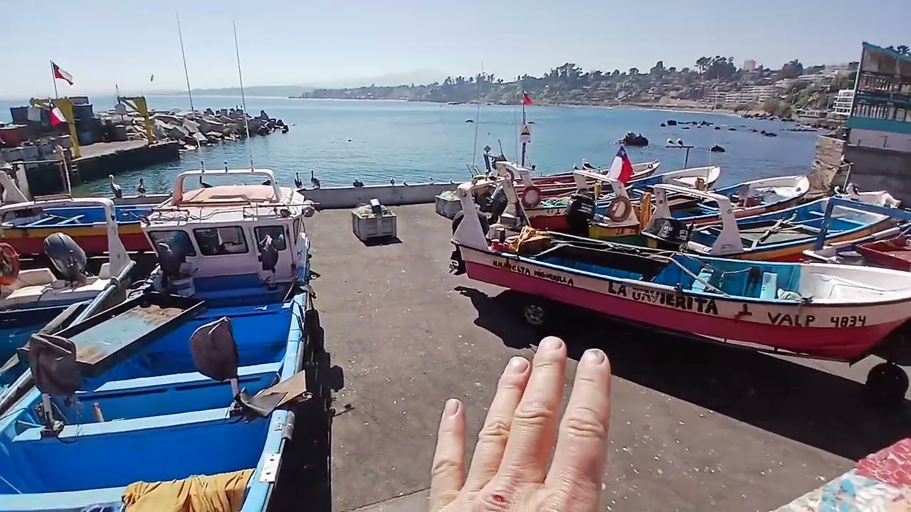 Caleta Higuerillas en Conc&oacute;n, Chile