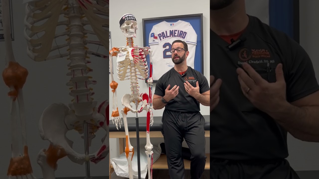 Can I still workout with a torn biceps tendon?