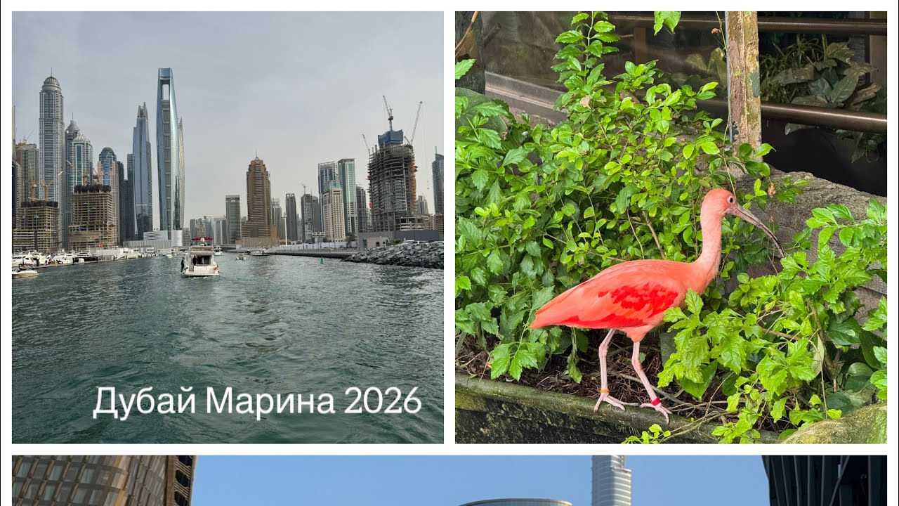Дубай Марина 2026! Обзор Икеи в Дубае/Green Planet!☺️