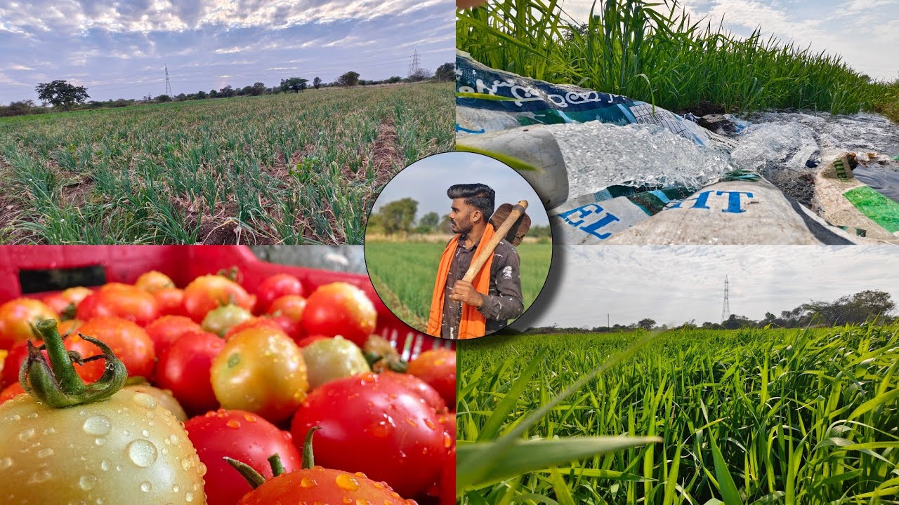 The beuti of the farming works-fullvlog 🧑🏻‍🌾@Piyushsawant-vlogs #farming #vlog  #op #ps